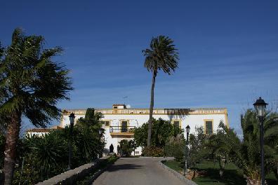 Son Manera Hotel Rural Montuiri  Exterior foto